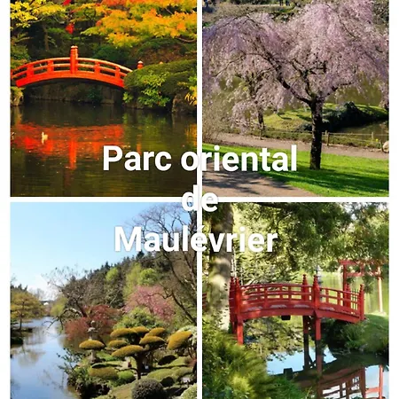 Les De La Casa D'elena 绍莱